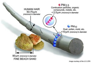 Size of PM particles